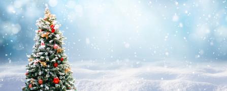 AdobeStock_282864075