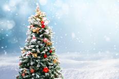 AdobeStock_282864075